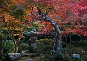 Enkoji Temple 11-2795