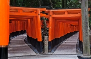 Fushimi-Inari Shrine Orange Torii 11-1752a