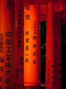 Fushimi-Inari Shrine Orange Torii 11-1869